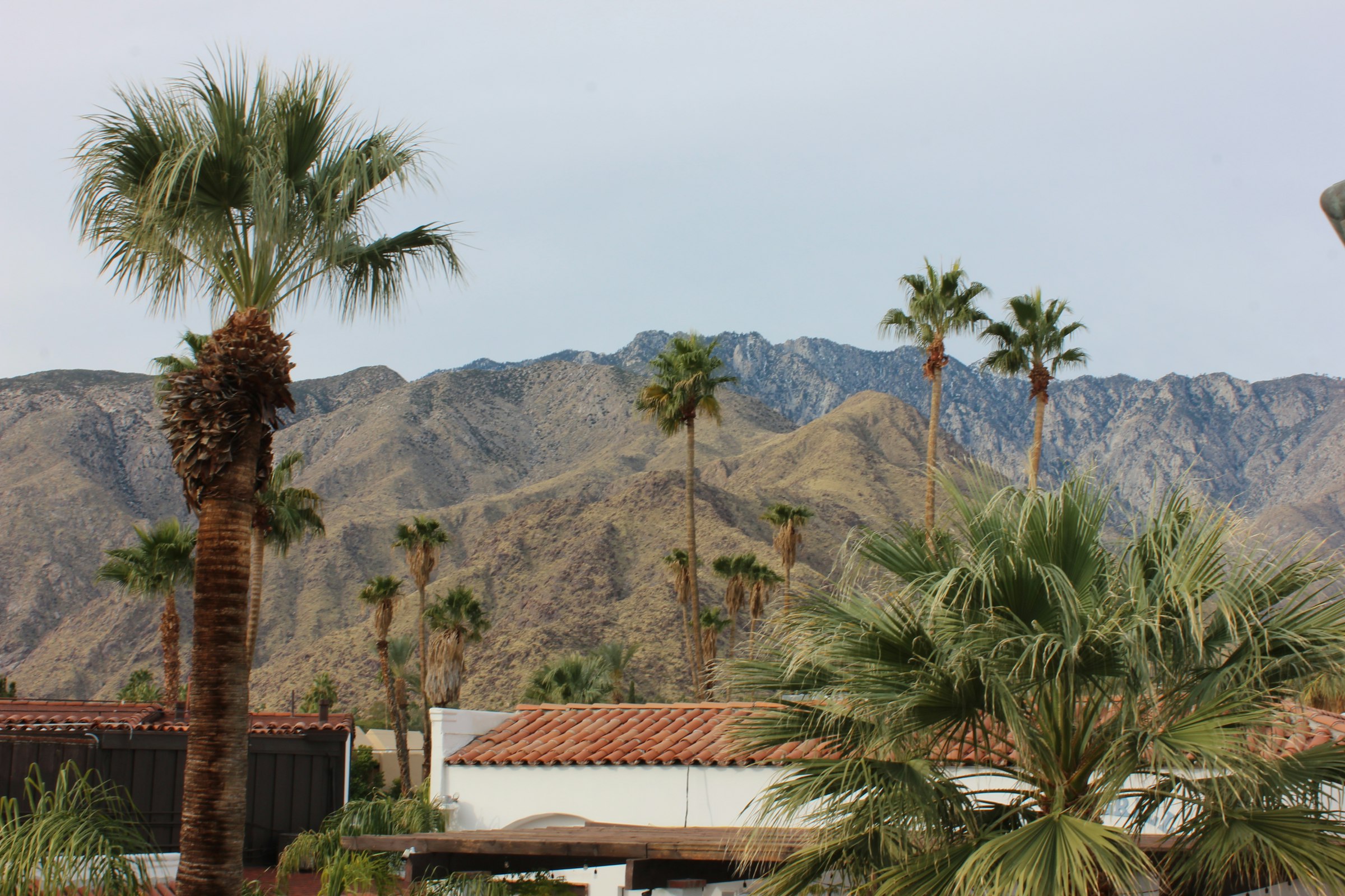 Palm trees and tile roofs in front of desert mountains